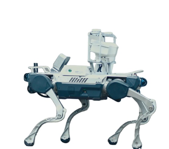 Achieving Artificial Intellige - Robot Remote Control 评论和价格