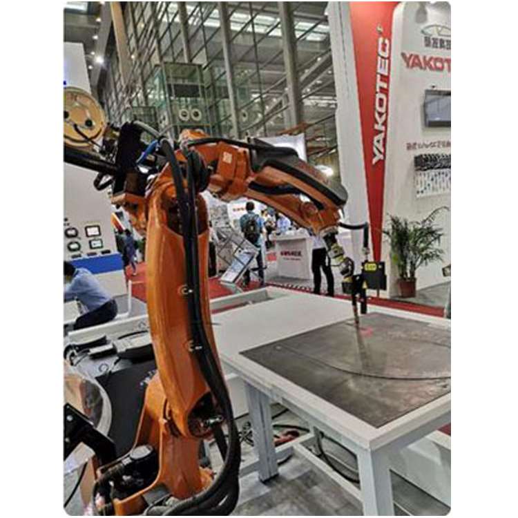 6-Axis Industrial Robotic Arm  - Robot Gripper 评论和价格
