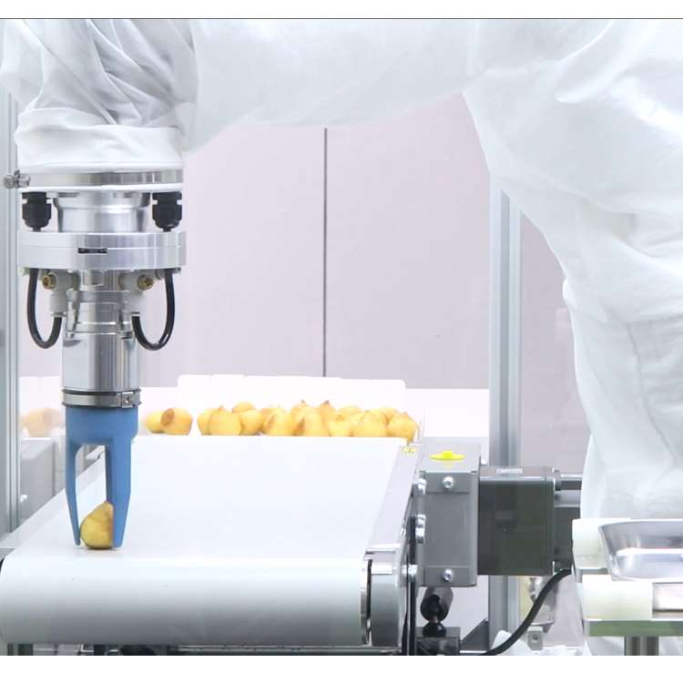 6-Axis CNC Robotic Arm with Li - Robot Gripper 评论和价格